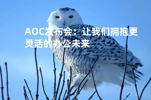 AOC发布会：让我们拥抱更灵活的办公未来
