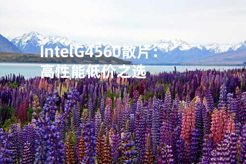 Intel G4560 散片：高性能低价之选