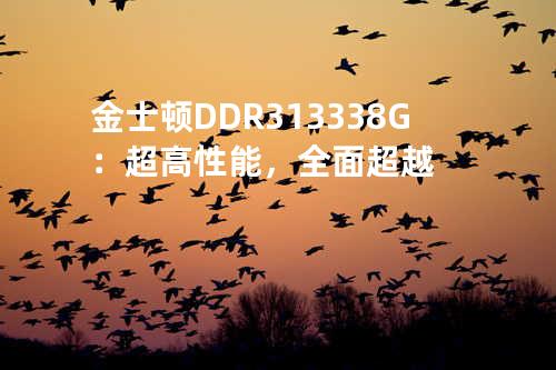 金士顿 DDR3 1333 8G：超高性能，全面超越