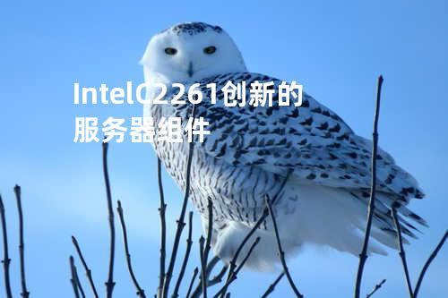 Intel C2261-创新的服务器组件