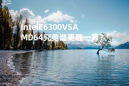 Intel E6300 VS AMD64究竟谁更胜一筹？